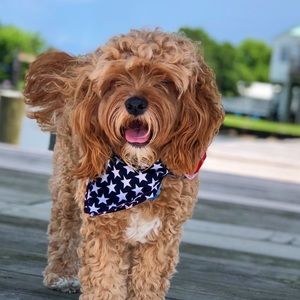 Meet your Posher, Michelle